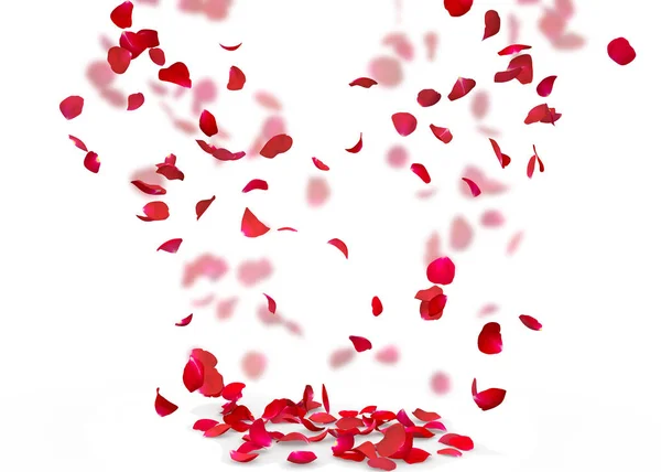 Лепестки Роз Падают Пол Изолированное Прошлое Размытом Фоне Лепестков Роз — стоковое фото