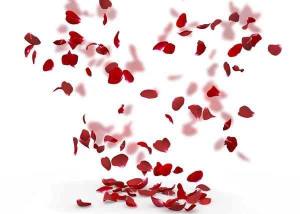 Rose Petals Fall Floor Isolated Background Blurred Background Rose Petals — Stock Photo, Image
