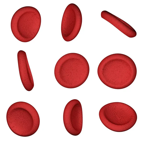 Collection Red Blood Cells Human Blood Illustration White Isolated Background — Stock Photo, Image