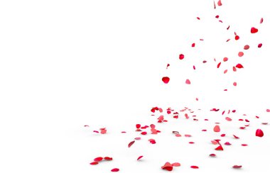 Birçok gül yaprağı yere düşer. Beyaz arka planda yalıtılmış