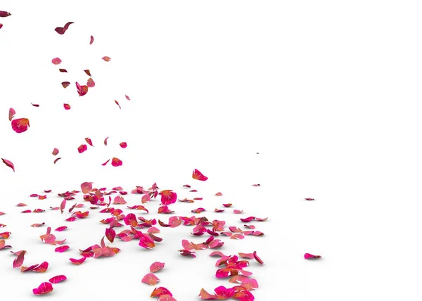 Many Rose Petals Fall Floor Isolated White Background — Stock Photo, Image