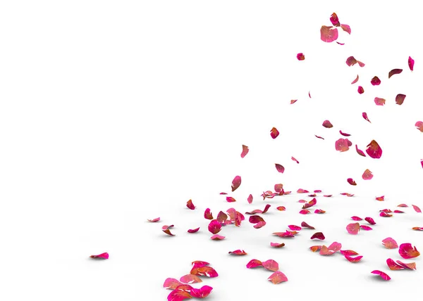 Многие Лепестки Роз Падают Пол Изолированный Белом Фоне — стоковое фото