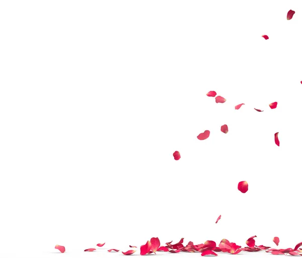 Viele Rosenblätter Fallen Auf Den Boden Isoliert Auf Weißem Hintergrund — Stockfoto