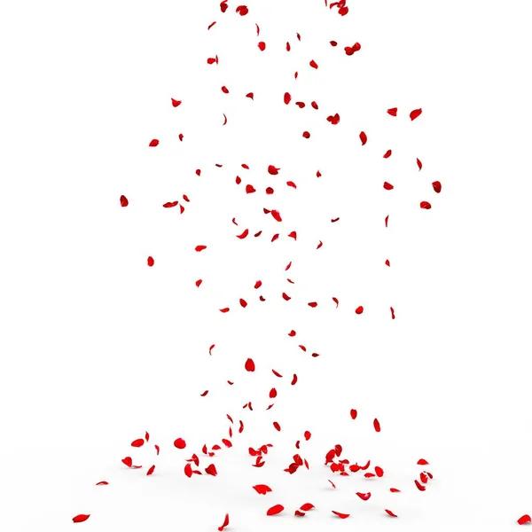 Viele Rosenblätter Fallen Auf Den Boden Isoliert Auf Weißem Hintergrund — Stockfoto