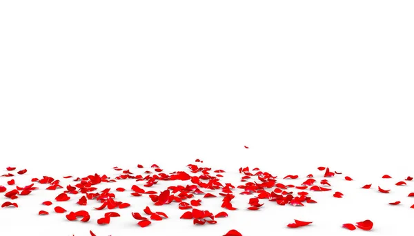 Many Rose Petals Fall Floor Isolated White Background — Stock Photo, Image