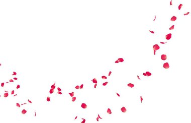 Kırmızı gül yaprakları mesafe içine sinek. İzole beyaz arka plan