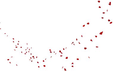 Kırmızı gül yaprakları mesafe içine sinek. İzole beyaz arka plan