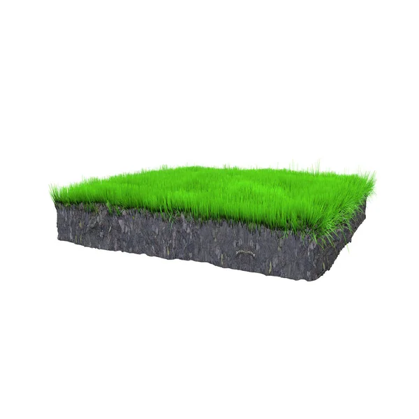 Piece Soil Green Grass White Isolated Background Illustration — Stock Photo, Image