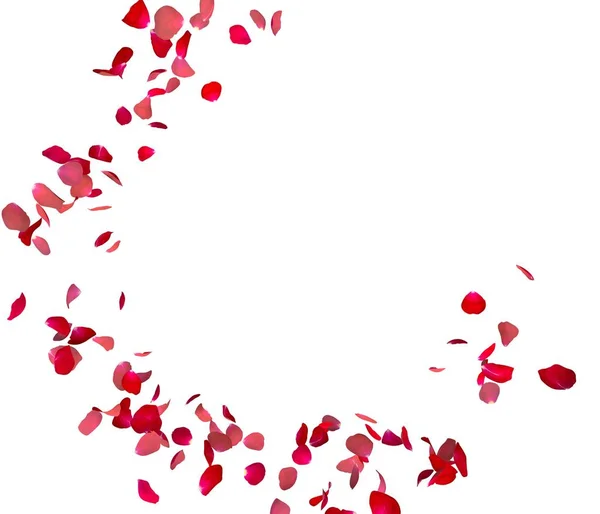赤いバラの花びらは 円で飛ぶ あなたの写真やテキストのセンター フリー スペース 孤立した白い背景 — ストック写真