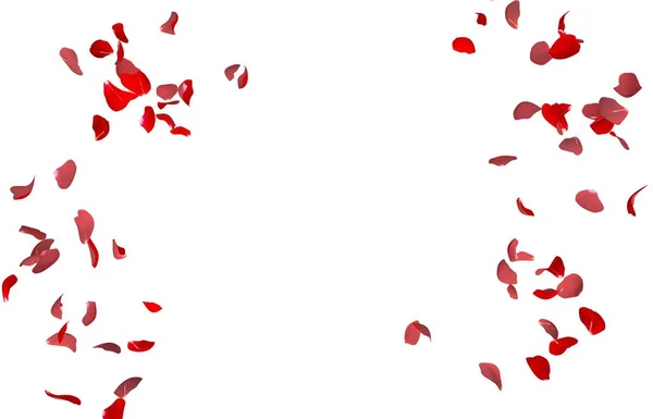 Pétalas Rosa Vermelhas Voam Círculo Centro Espaço Livre Para Suas — Fotografia de Stock