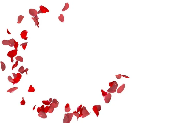 Rote Rosenblätter Fliegen Kreis Die Mitte Freien Raum Für Ihre — Stockfoto