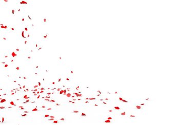 Küçük gül yaprakları sinek ve yere düşer. İzole beyaz arka plan