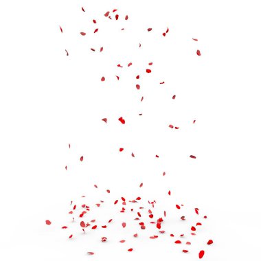 Küçük gül yaprakları sinek ve yere düşer. İzole beyaz arka plan