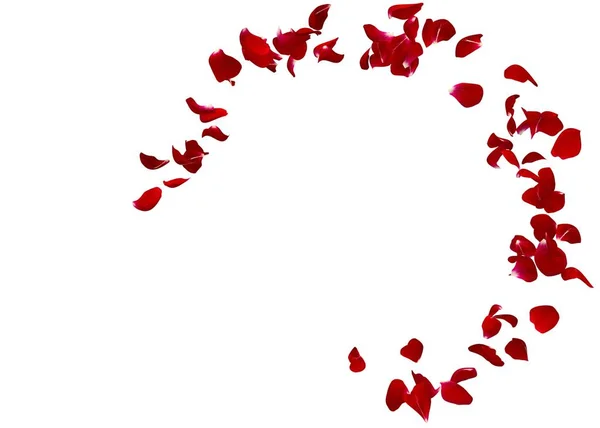 Red Rose Petals Fly Circle Center Free Space Your Photos — Stock Photo, Image