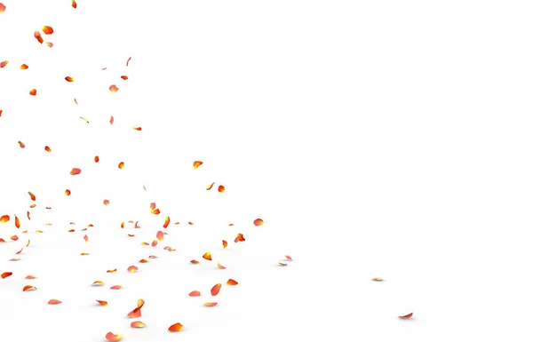 Kleine Roze Bloemblaadjes Vliegen Vallen Vloer Geïsoleerde Witte Achtergrond — Stockfoto