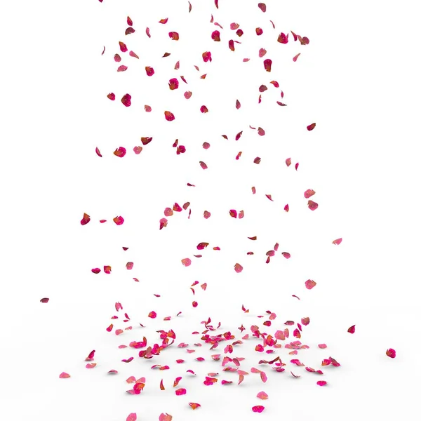 Small Rose Petals Fly Fall Floor Isolated White Background — Stock Photo, Image