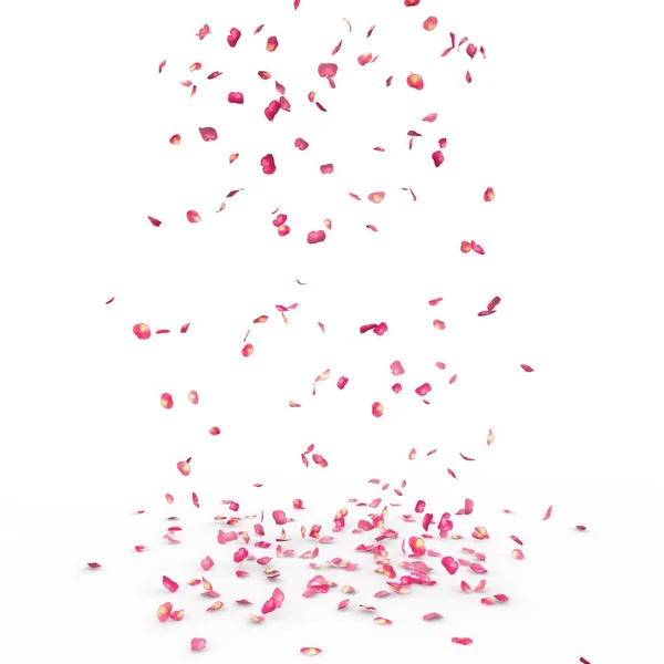 小玫瑰花瓣飞了起来 落在了地板上 独立的白色背景 — 图库照片