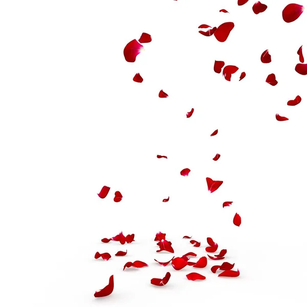 Rosenblätter Fallen Wunderschön Auf Den Boden Isolierter Weißer Hintergrund — Stockfoto