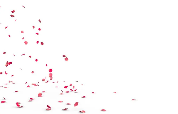 Kleine Rosenblätter Fliegen Und Fallen Boden Isolierter Weißer Hintergrund — Stockfoto