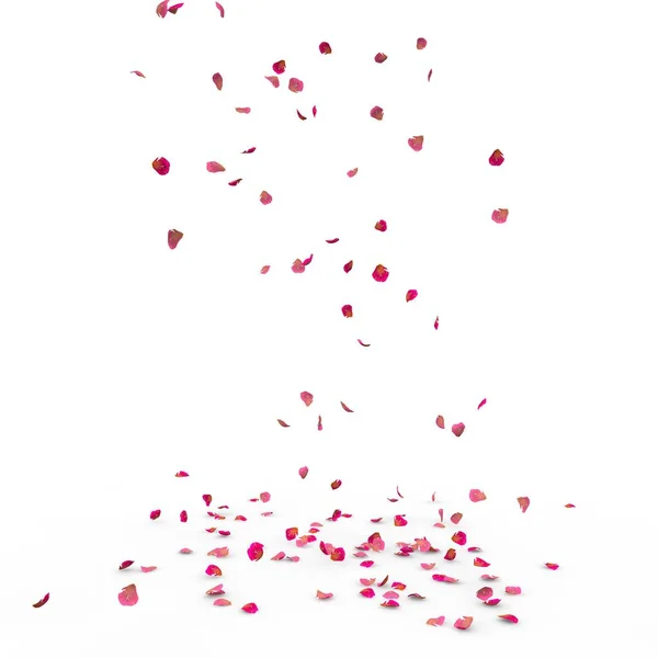 Small Rose Petals Fly Fall Floor Isolated White Background — Stock Photo, Image