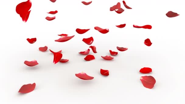 Pétalas Vermelhas Brilhantes Rosas Caindo Chão Branco Máscara Alfa Incluída — Vídeo de Stock