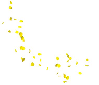 Sarı gül yaprakları bir daire içinde sinek. Fotoğraf ve metin için merkezi boş alan