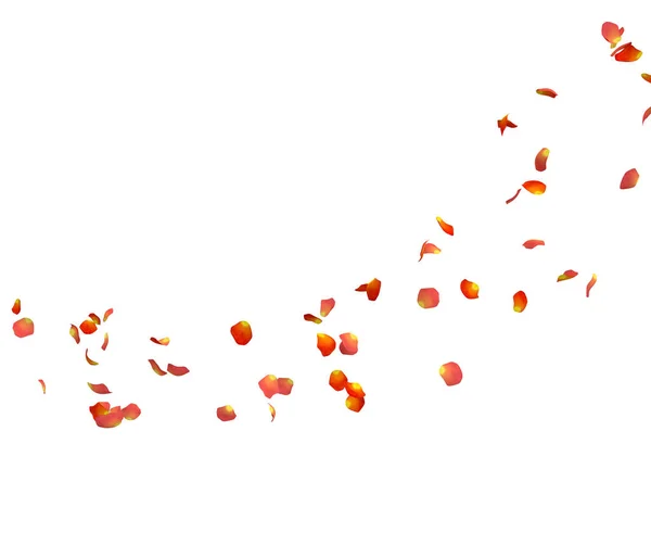Oranje rozenblaadjes vliegen in een cirkel. De vrije ruimte in het midden voor uw Foto's of tekst — Stockfoto