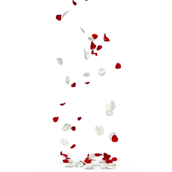 A padlóhoz vörös és fehér Rózsaszirmok tartoznak — Stock Fotó
