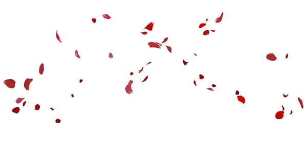 Pétalos de rosa volando sobre fondo blanco —  Fotos de Stock