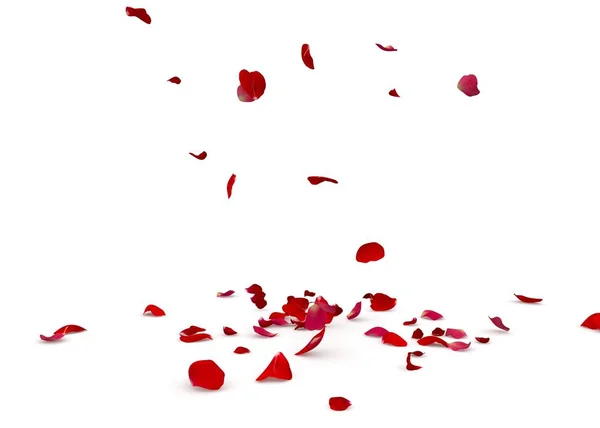Пелюстки троянд красиво падають на підлогу — стокове фото