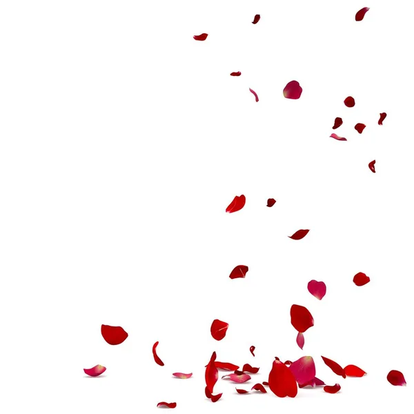 Пелюстки троянд красиво падають на підлогу — стокове фото