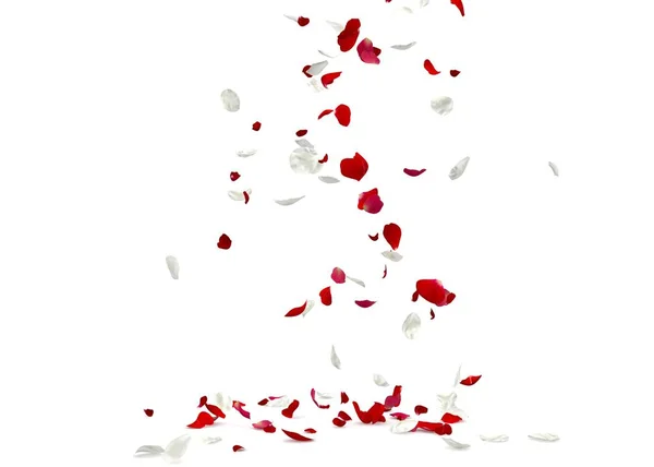 Pétalos de rosa rojos y blancos caen al suelo — Foto de Stock