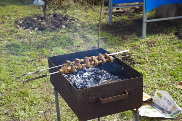 Cocinar sobre carbón vegetal con champiñones, empalado en pinchos —  Fotos de Stock