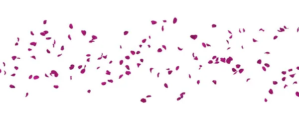 Purple Rose Petals Fly Away White Isolated Background Royalty Free Stock Photos