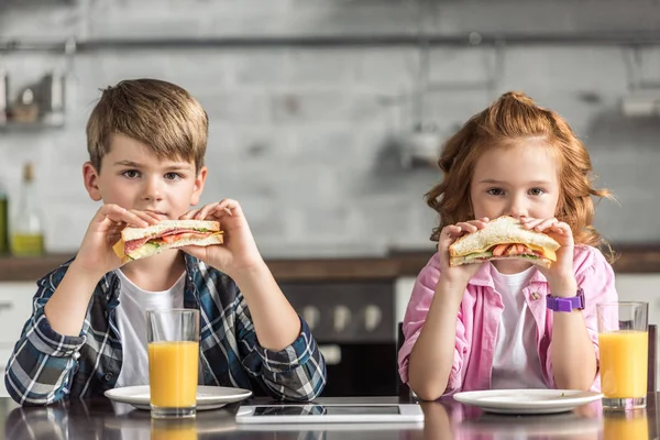 Little Brother Sister Eating Sandwiches Looking Camera — Stock Photo, Image
