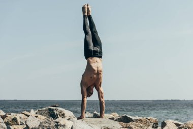 amut (adho mukha vrksasana) kayalık sahil üzerinde yapan sportif gömleksiz erkek