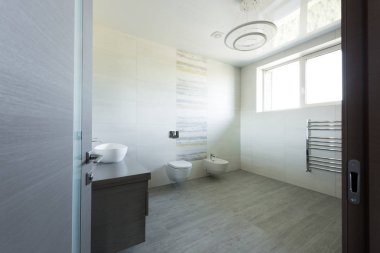 iç modern gri banyo, tuvalet ve bide ile kapıdan görüntülemek