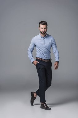 şık şık iş adamı Grey formal giyim