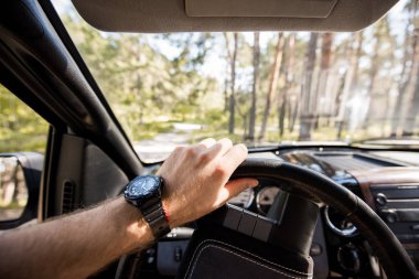 cropped view of man with watch driving car in forest