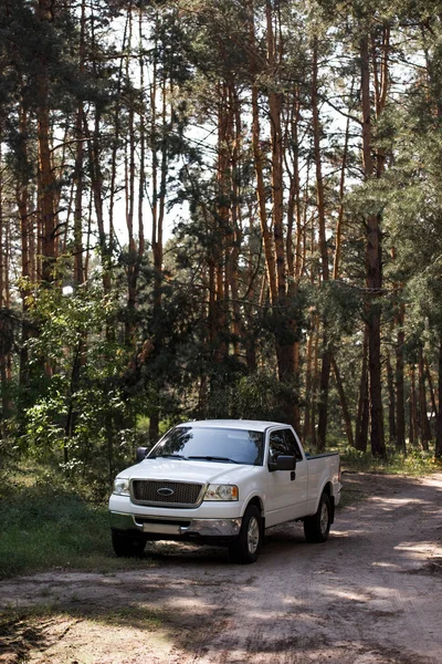 Camionnette Blanche Sur Sentier Forêt Avec Des Pins — Photo