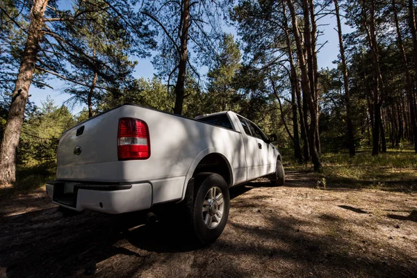 Camionnette Blanche Dans Forêt Automne Niveau Surface — Photo