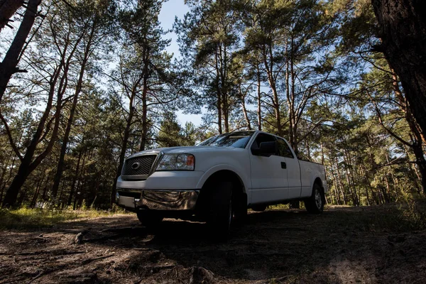 Weißer Pickup Wald Oberflächennah — Stockfoto