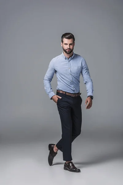 Elegante hombre de negocios elegante en ropa formal, en gris - foto de stock