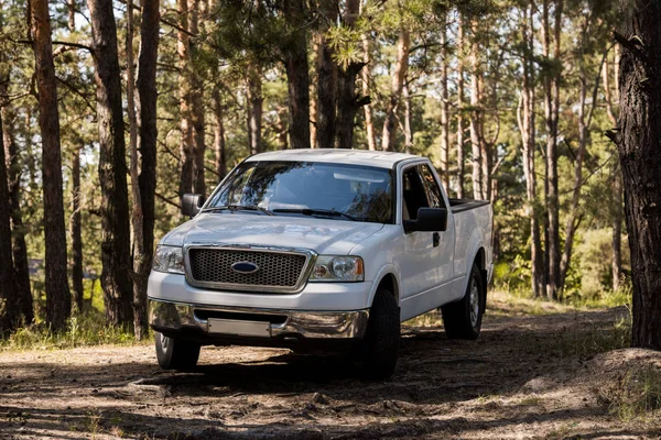 White pickup truck in autumn forest with pine trees — Stock Photo