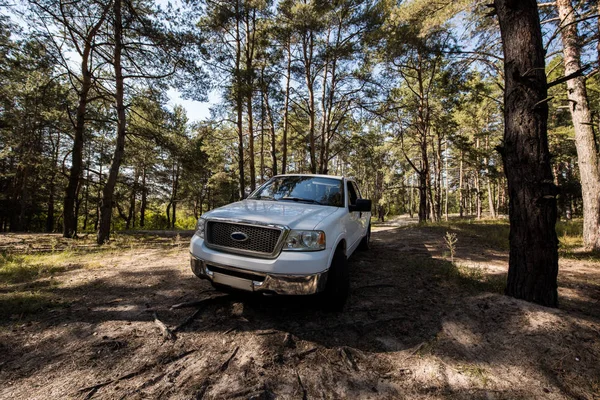 White pickup truck in autumn woods — Stock Photo