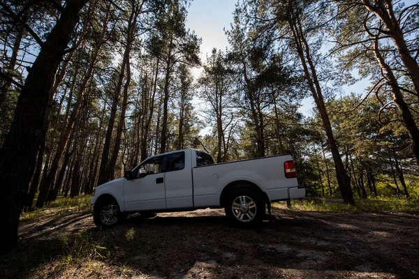 Vue latérale de la camionnette blanche dans la forêt ensoleillée — Photo de stock