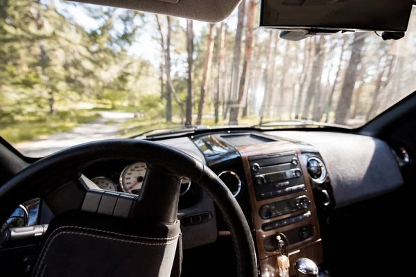 Vista della foresta soleggiata dall'interno dell'auto con volante — Foto stock