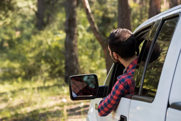 Vista trasera del conductor que conduce la camioneta en el bosque - foto de stock