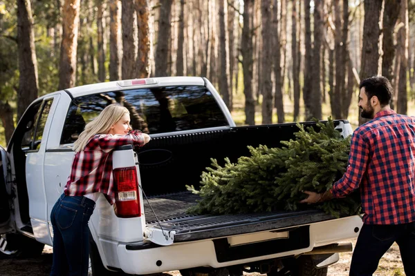 Junges Paar trägt Tanne zu Weihnachten in Pickup-Truck im Wald — Stockfoto