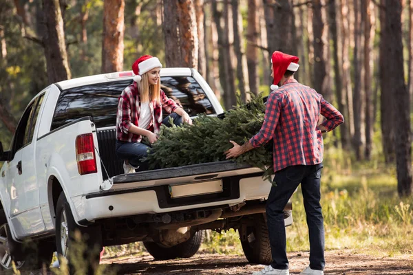 Happy couple in santa hats carrying fir tree for christmas into pickup truck in forest — Stock Photo